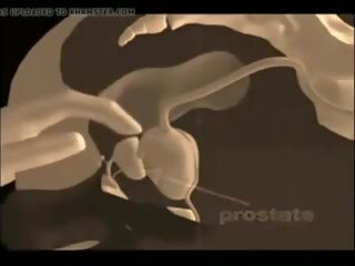 ¿cómo a dar un próstata masaje, gratis xxx masaje sexo película vídeo